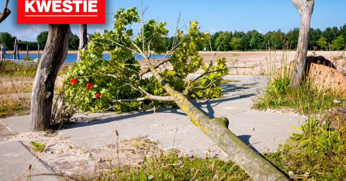 De Kwestie | Maatregelen na vandalisme bij recreatieplas in Dedemsvaart: goede zaak?