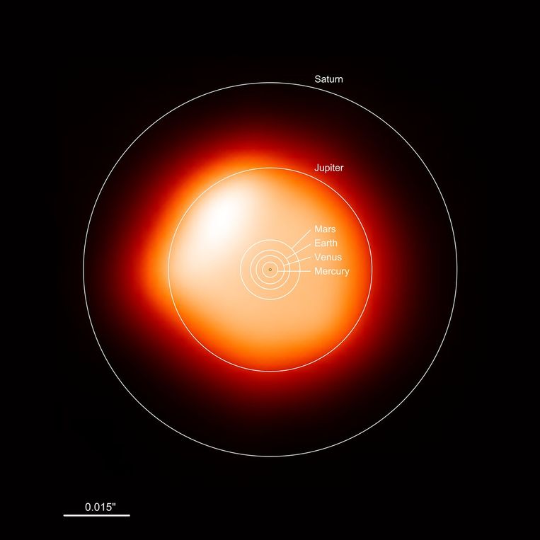 Betelgeuze is zo groot dat ze in ons zonnestelsel voorbij alle planeten tot en met Jupiter zou reiken. Beeld ALMA (ESO/NAOJ/NRAO)/E. O’Gorm