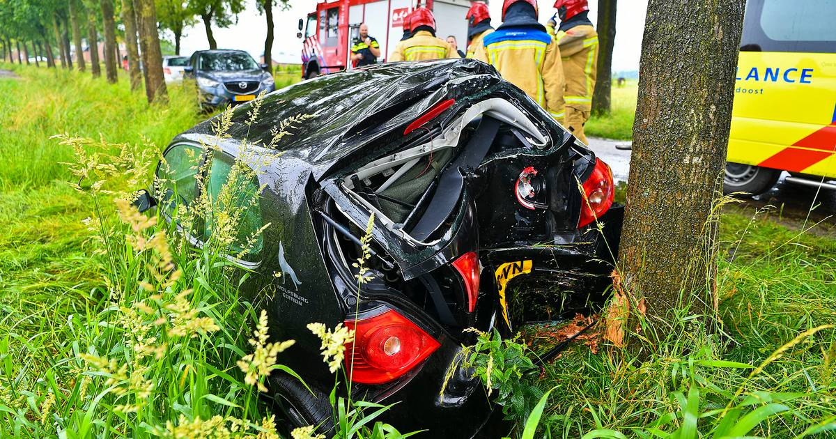 Jongeren botsen met achterkant van auto tegen boom in Luyksgestel