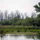 Een zwerftocht naar niks in de Biesbosch is nog best lastig