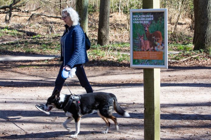 Staatsbosbeheer waarschuwt voor loslopende honden in de bossen in het broedseizoen.