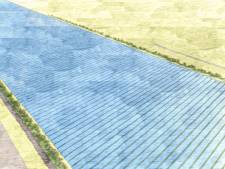 Buitengebied Ermelo gruwt van windmolens en wil zonnepark: ‘Want dat geeft de minste overlast’