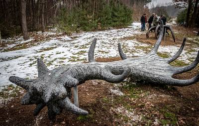 Gigantisch gewei met kraan langs kunstroute Groene Lint geplaatst
