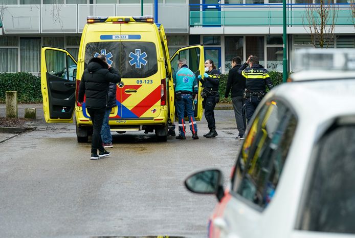 Bij een steekpartij op 29 januari in Driebergen raakte een man gewond.