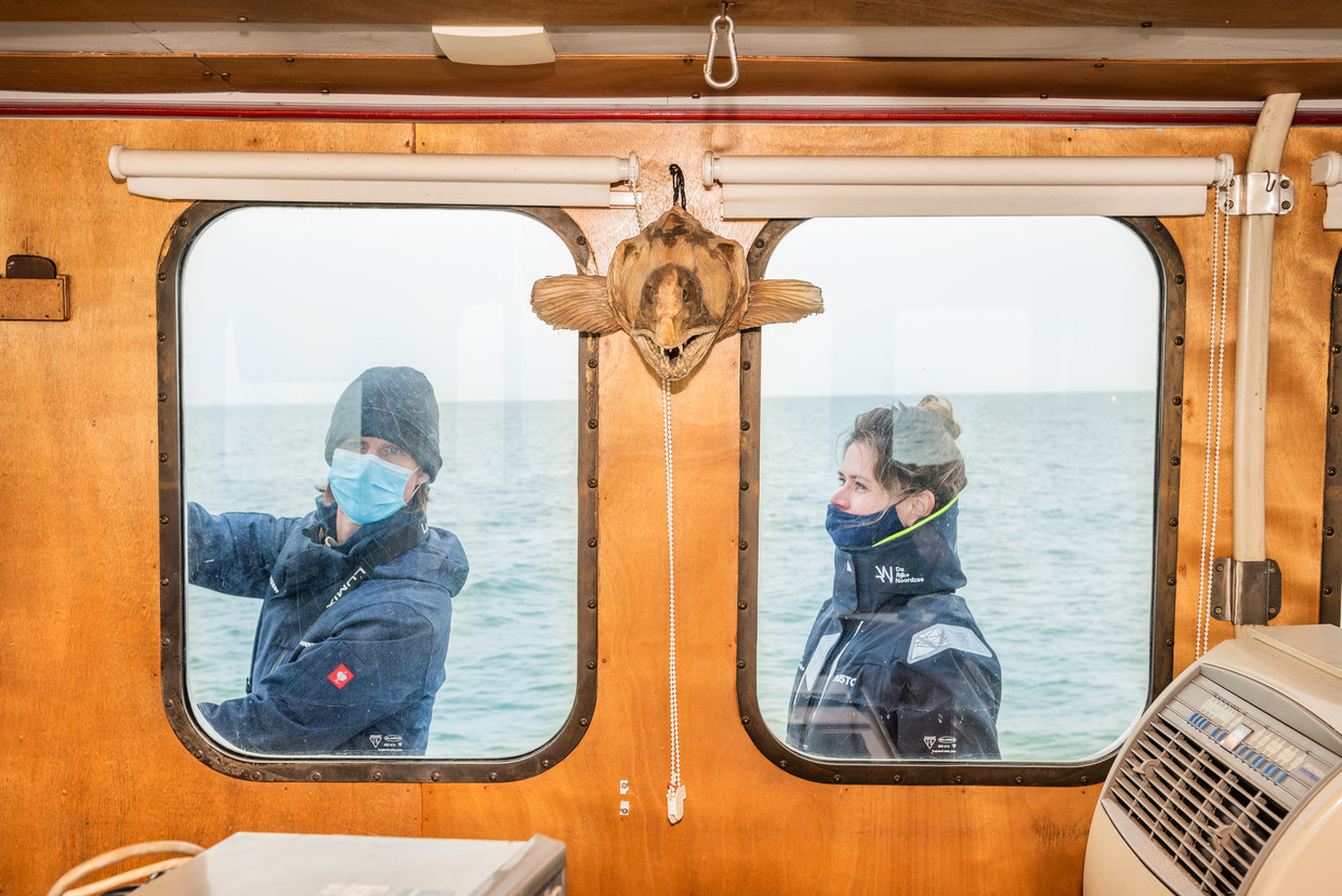 Onderzoekers van De Rijke Noordzee plaatsen vier kunstmatige riffen op een offshoretestsite van North Sea Farmers. Beeld Simon Lenskens