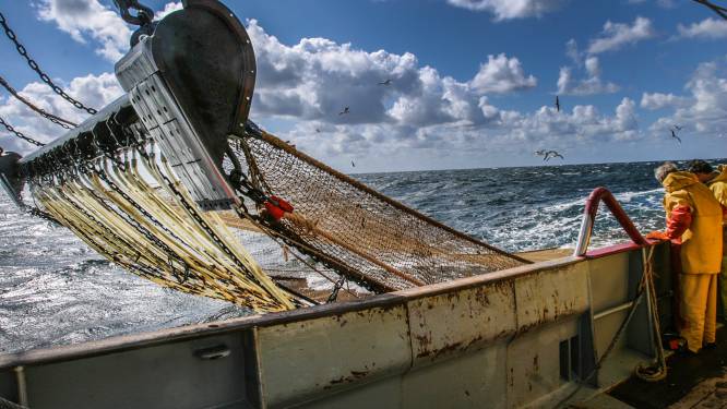 Noordzeevissers blijven in de haven vanwege de ontplofte prijs van brandstof: ‘Het is niet meer te doen’
