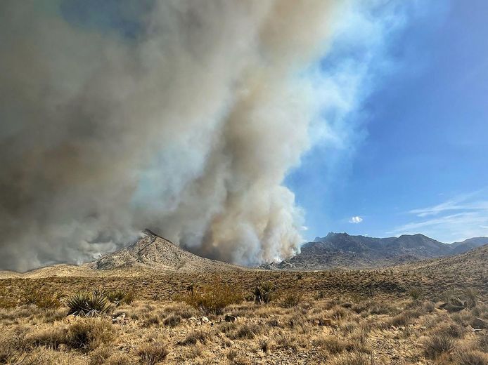 Beeld van de branden in de Mojavewoestijn.