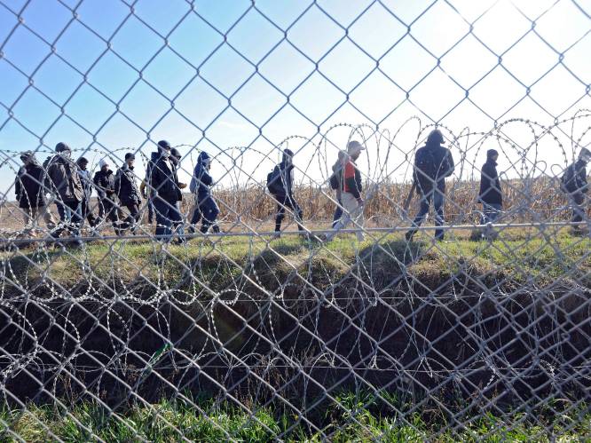 Hongarije zet door: werknemers en activisten van ngo's die migranten helpen riskeren celstraf