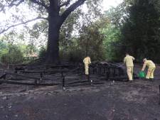 Meer dan 250 jaar oude boom bij ’t Wasven mogelijk in brand gestoken: ‘Een trieste aanblik’