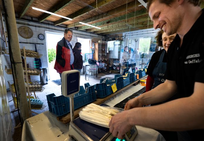 Aspergekwekers maken overuren: 'Haal ze bij de boer, niet in de ...