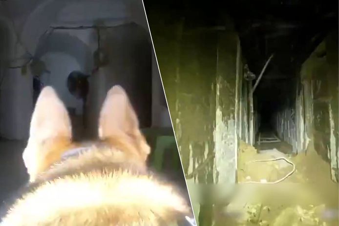Het Israëlisch leger toont nieuwe beelden van hond die tunnelnetwerk Hamas blootlegt en vindt lichamen van 5 gijzelaars