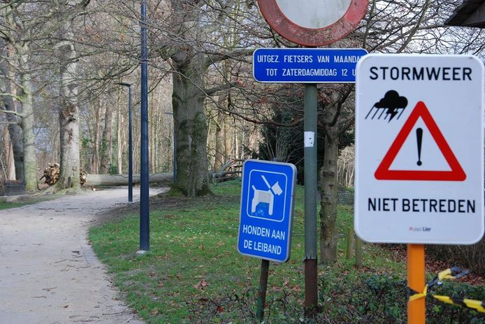 De stad Lier sluit de vesten en het stadspark af met signalisatie. "Vermijd plaatsen met veel bomen", klinkt het in een waarschuwing aan de inwoners.