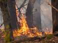 Pneumoloog over gevolgen bosbrand op je gezondheid: “Elke dag blootgesteld worden aan rook van houtkachel is pak ongezonder”	