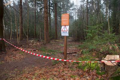 Bomenkap in Leenderbos en De Pan
