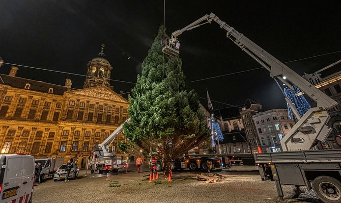 de Dam de 22 meter hoge kerstboom er weer | Amsterdam | AD.nl