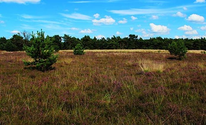 De Sijsten, een van de deelgebieden van Stadsbos013.