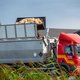 Grootste vogelgriepuitbraak tot nu toe, 300 duizend dieren worden afgemaakt