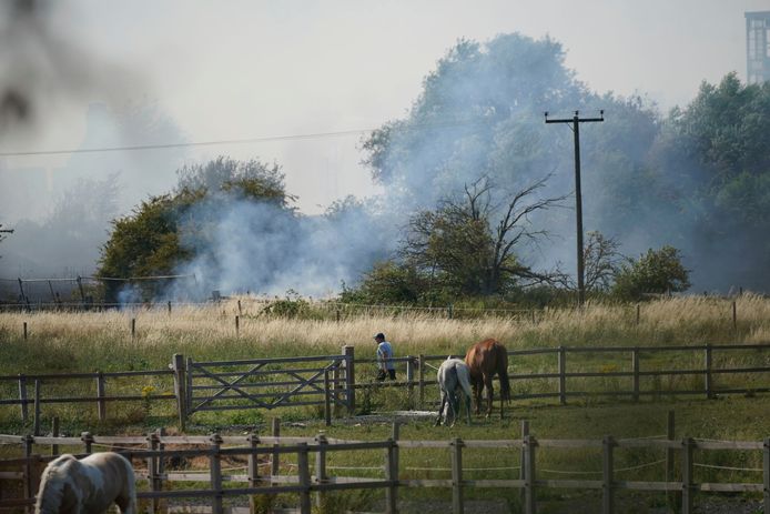In the village of Wennington, east of London, several houses have already burned down.