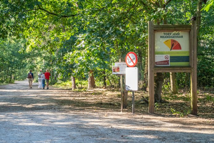 Brandgevaar in Vlaamse provincies verlaagd naar code geel | Binnenland ...