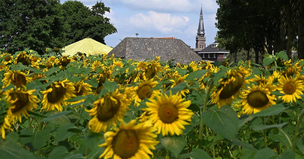 Franse vakantiegevoel is niet ver weg in Oploo: ‘We moeten ook iets voor onze omgeving doen’