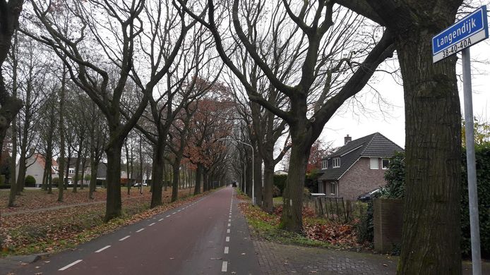 De kilometers lange Langendijk in de Reeshof