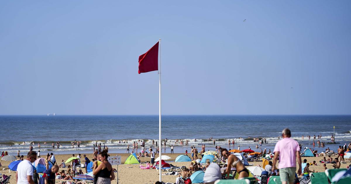 Rode Vlag Op Haagse Stranden Maar Wat Houdt Dat In Den Haag Ad Nl