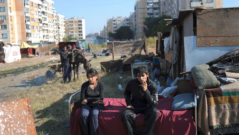 Roma in de Bulgaarse plaats Jambol in 2010. Onderzoekster Annemiek Dul omschrijft de cultuur van de Roma als collectivistisch en gesloten. Beeld afp
