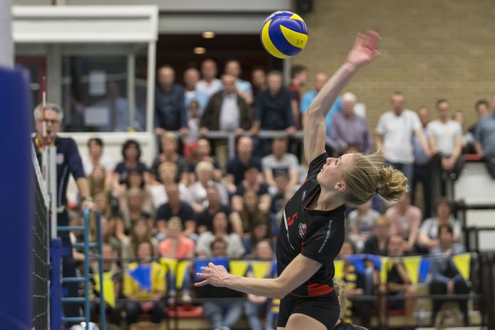 De toekomst van de Wierdens sporthal ’n Dikken, waar volleybalclub WVC Volley een vaste bespeler is, maakt onderdeel uit van het onderzoek.