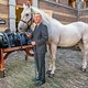 De 25ste en laatste Prinsjesdag. De stalmeester van de koning gaat met pensioen (en zijn paard ook)