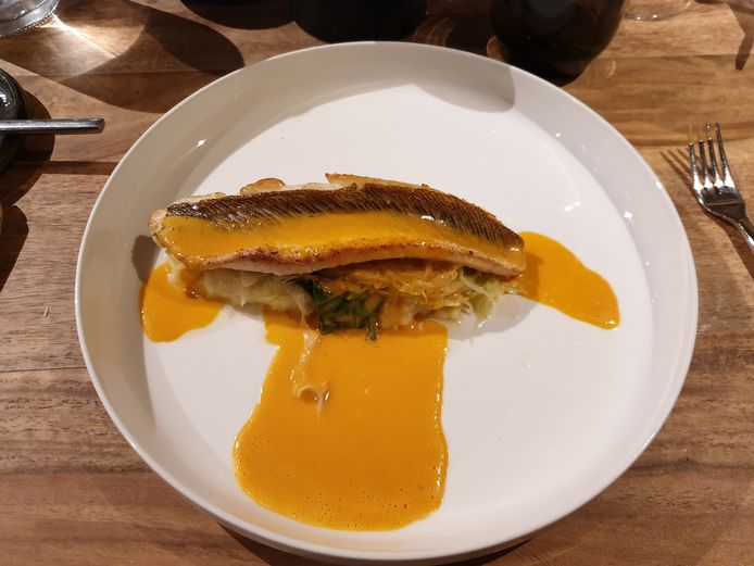Restaurant Oltra in Outer (Ninove) - Hoofdgerecht: Pieterman – puree van doré aardappel – beurre blanc – spitskool – lamsoor