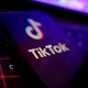 Minister Bart Somers wil TikTok ook verbieden voor lokale ambtenaren