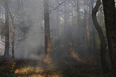 Bosbranden teisteren Land van Cuijk: vierde brand in twee dagen