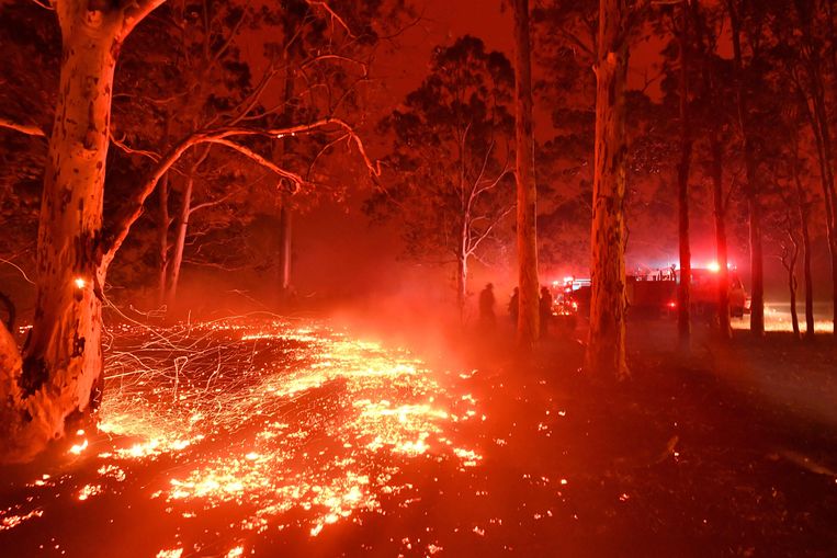 Bosbranden in de stad Nowra in New South Wales.  Beeld AFP