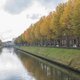 Daarom blijven de bladeren zo lang aan de bomen hangen