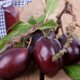 Zelf pruimenjam maken