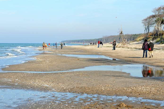 Het drama gebeurde in Ahrenshoop, langs de kust van de Oostzee in Duitsland.