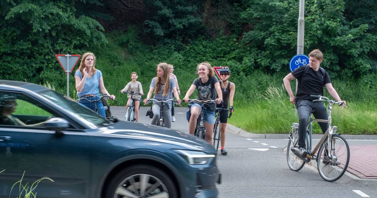 Fietsers geven Rijk van Nijmegen magere voldoende: rotondes vallen wél in de smaak - De Gelderlander