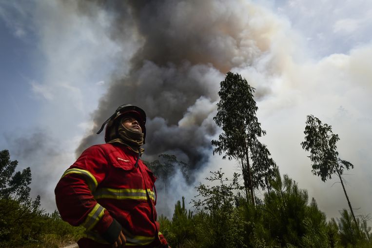 Meer dan honderd districten in Portugal zijn momenteel in maximaal gevaar voor brand.  Beeld ANP/EPA