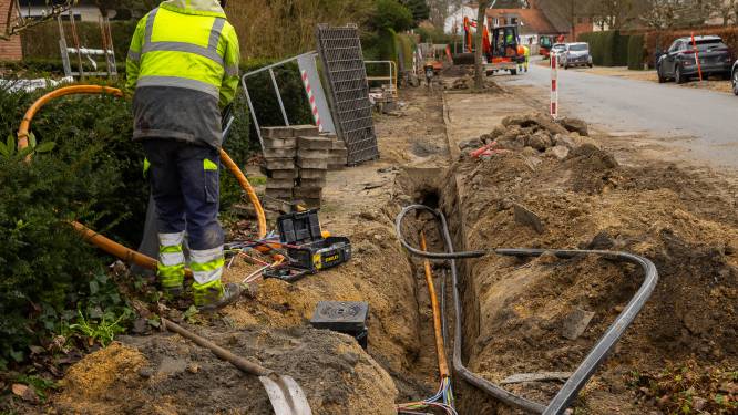 Edpnet legt klacht neer tegen internetabonnementen Mobile Vikings: “Als wij hun aanbod zouden matchen, verkochten we met dik verlies”