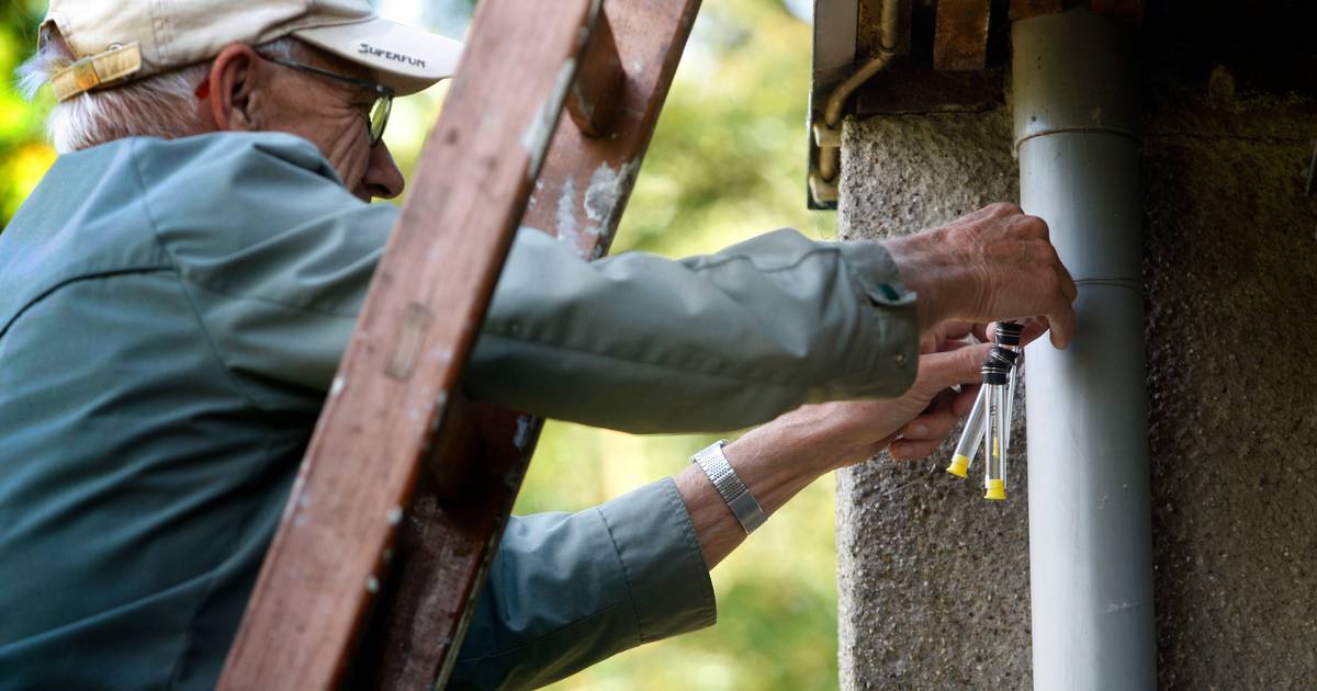 Heeft vieze lucht invloed op coronavirus? ‘Zelf meten is zelf weten’ Boxtel ed.nl
