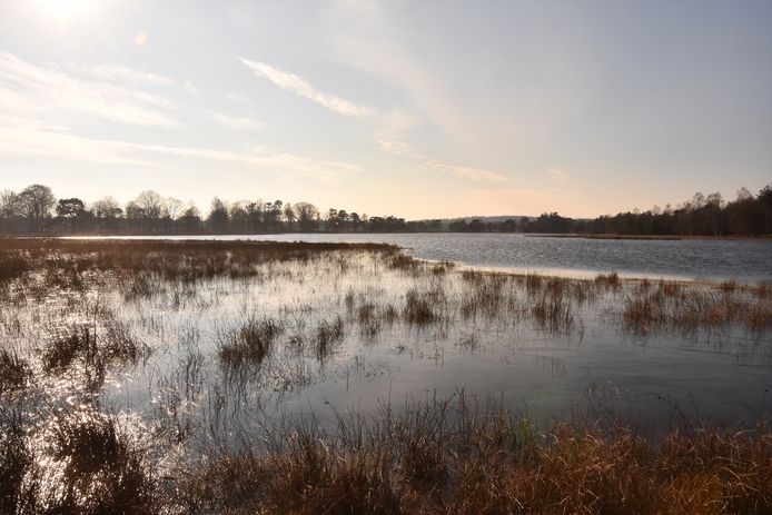 Schaatsliefhebbers Loeren Op De Ijsvloer Van Leersumse Veld Utrecht Ad Nl