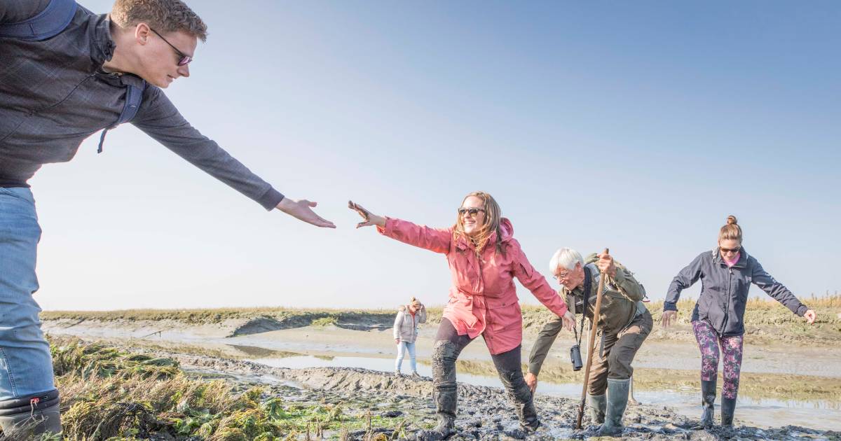 Gemist? Glibberen door het Verdronken Land | Boer voelt energiecrisis in portemonnee - PZC