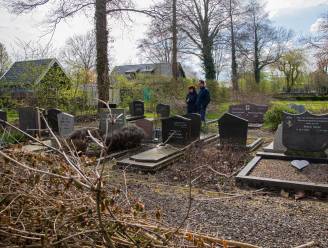Hulst laat takkenbende op begraafplaats Kloosterzande lang liggen 