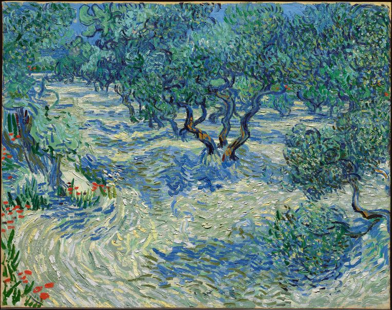 Olijfbomen  (juni 1889) van Vincent van Gogh. Beeld The Nelson-Atkins Museum of Art, Kansas City