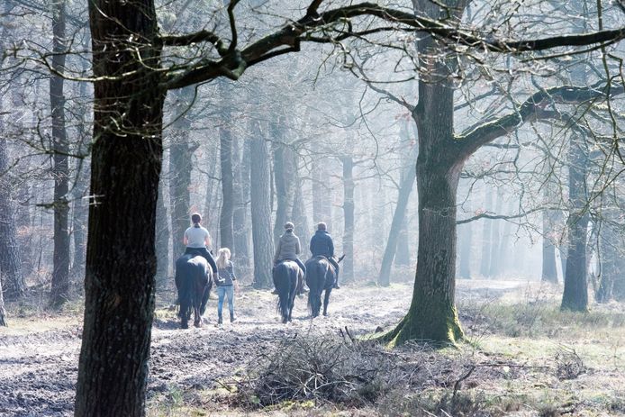 Ruiters in het bos.