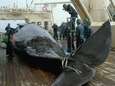 Japan wil einde aan verbod op commerciële walvisjacht