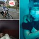 ‘Slechtste gemeente? Wij zijn juist superaantrekkelijk’: 9 verhalen die u na dit weekend kunt lezen