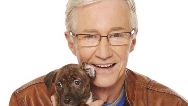 Paul O'Grady: For the love of Dogs
