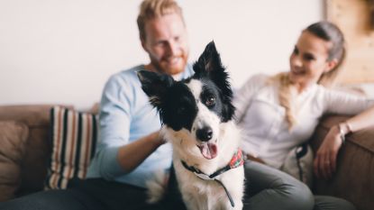 Wat als ... jouw partner gek is op dieren en jij er een hekel aan hebt?