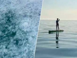 Paddleboarder bevindt zich plots in angstaanjagende situatie in Zwarte Zee